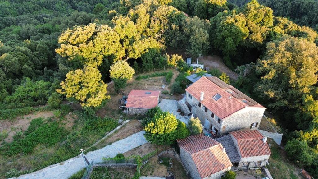 Chez Paulette - Meuble De Tourisme Classe 3 Etoiles Дзондза Экстерьер фото