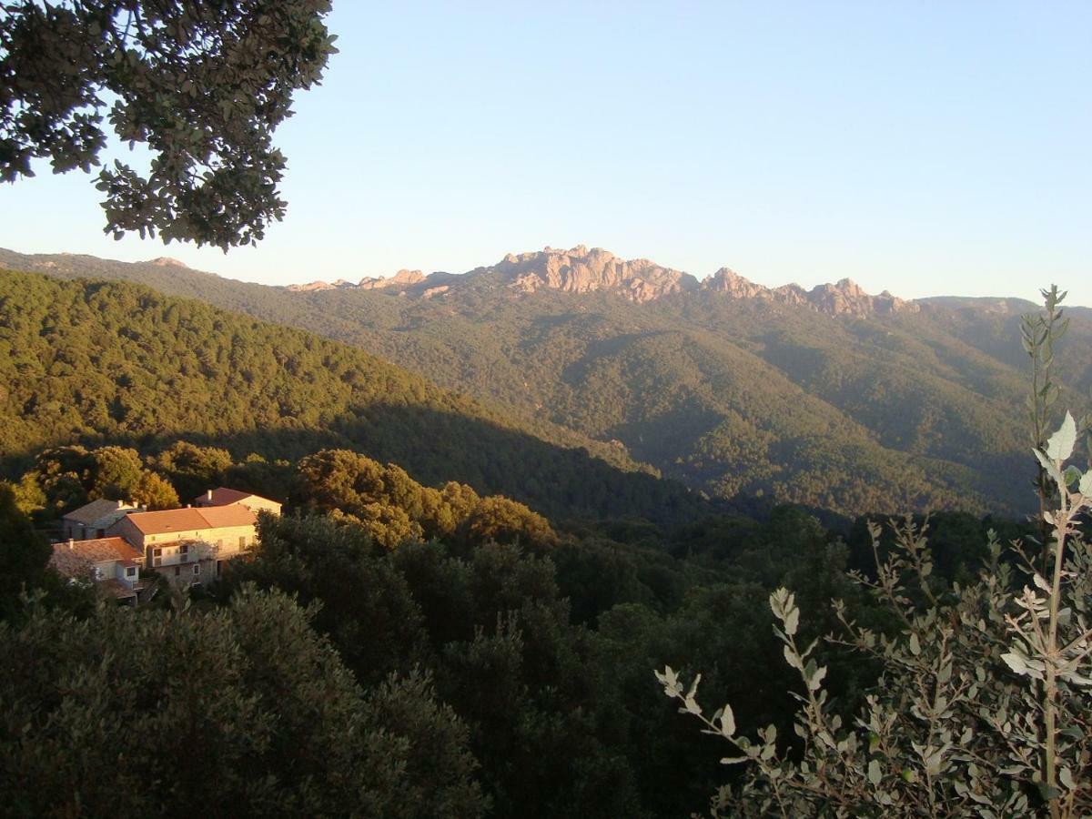 Chez Paulette - Meuble De Tourisme Classe 3 Etoiles Дзондза Экстерьер фото